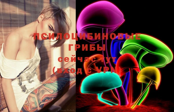 стафф Медвежьегорск