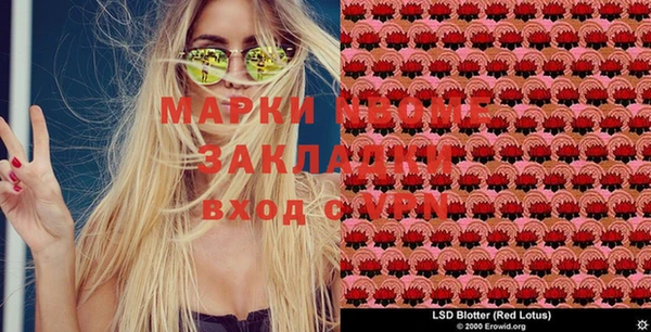 гашик Майский