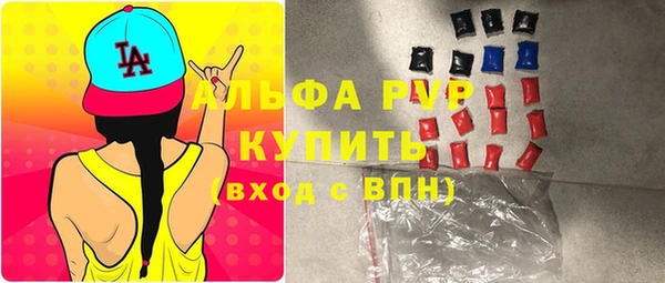 гашик Майский