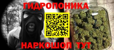 индика Гусь-Хрустальный