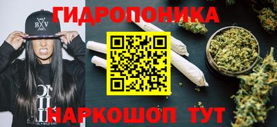 индика Балашиха