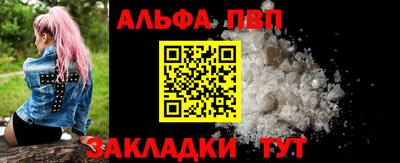 индика Гусь-Хрустальный