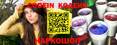 индика Гусь-Хрустальный