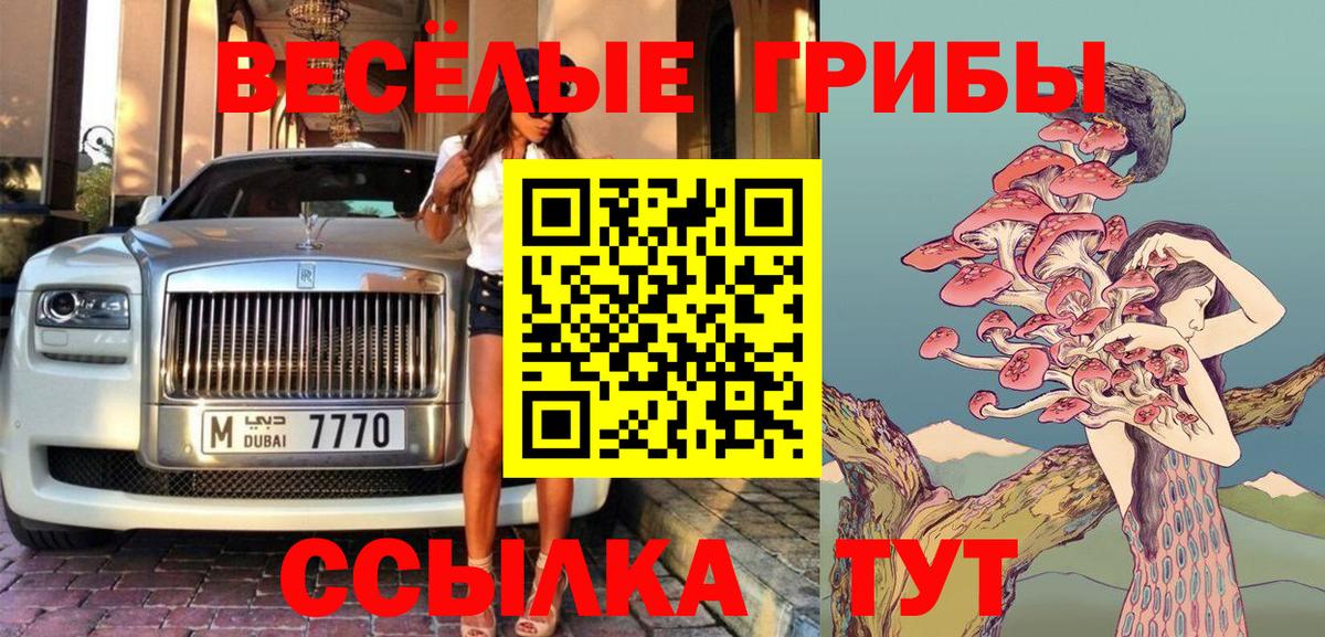 Псилоцибиновые грибы ЛСД Заволжье