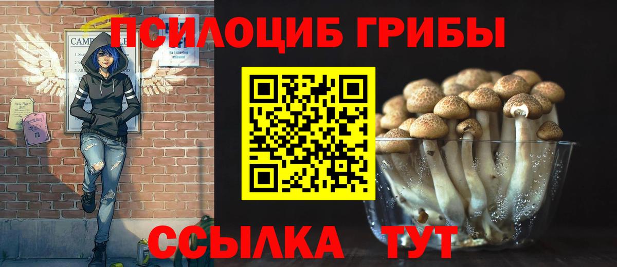 Заволжье  Галлюциногенные грибы GOLDEN TEACHER  Вход с VPN 