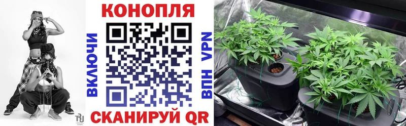 Конопля ГИДРОПОН  Заволжье 